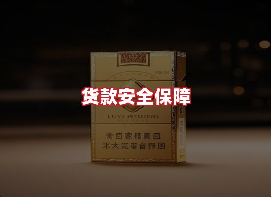 专业团队